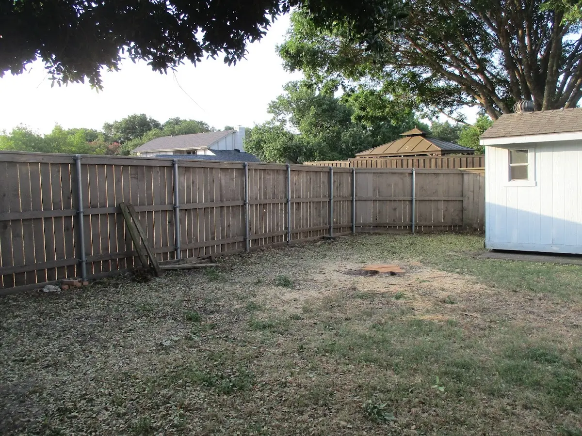 Cleared yard after professional tree removal in Green Village